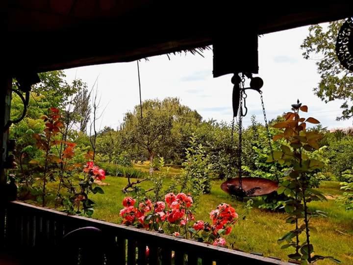 Perla Neagra Lotus Spa Caineni-Bai Eksteriør billede